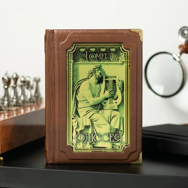 wow video Книга Гомер "Одіссея" у футлярі (українською мовою)