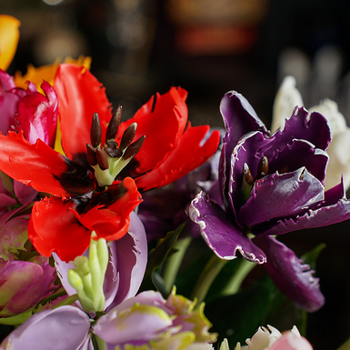 тюльпанів з холодної порцеляни фото 1