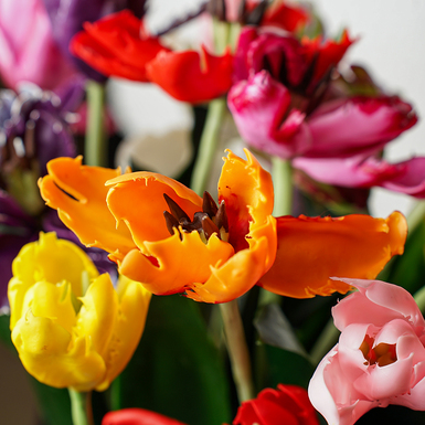 Букет тюльпанів із холодної порцеляни ручної роботи фото 1