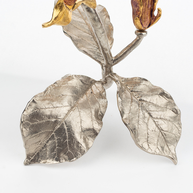 бронзовая «Магнолия» от Петра Озюменко фото 1