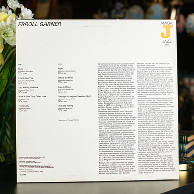 купити вінілову платівку у магазині подарунків фото