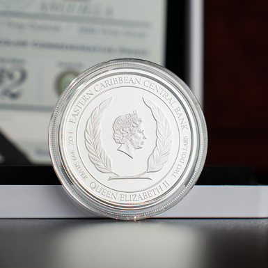 19_срібна монета 2 долари фото 1