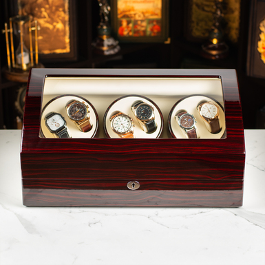 watch box with transparent lid photo