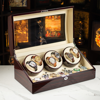 watch box with pillows photo