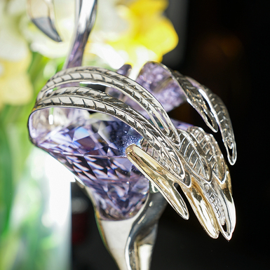 Silver feathers bird photo