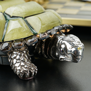Silver turtle photo