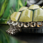Turtle with topaz and jade photo