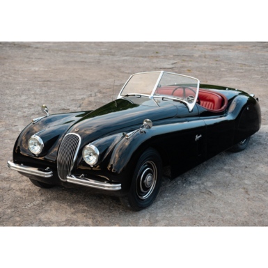 original model photo