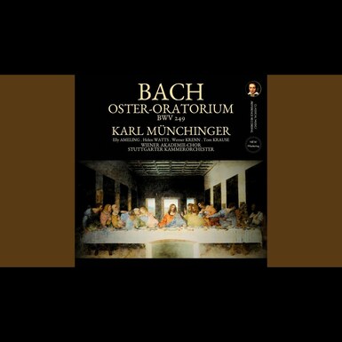 пластинка видео