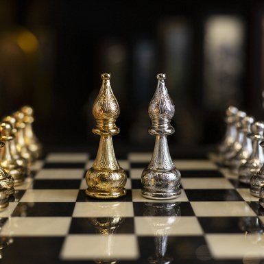 Chess set in the interior photo