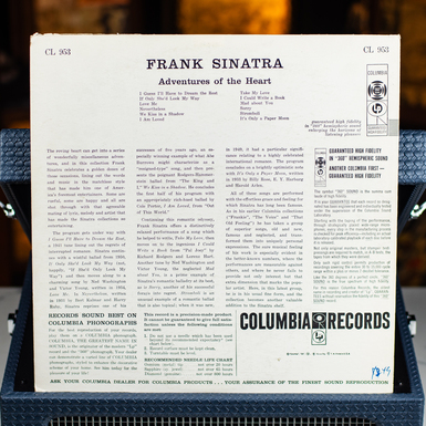 пластинка фото