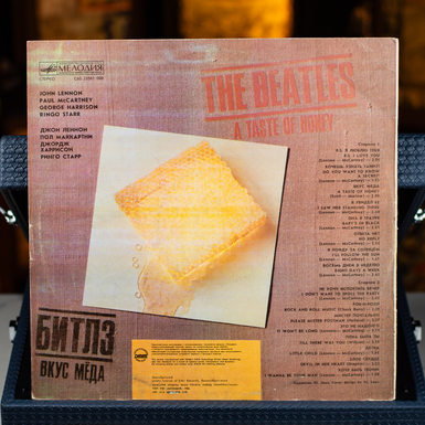 пластинка фото