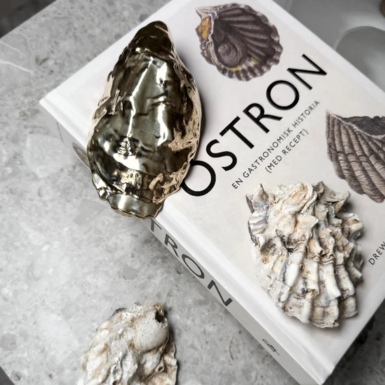 устриця фото