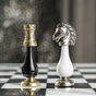 Knight and pawn photo