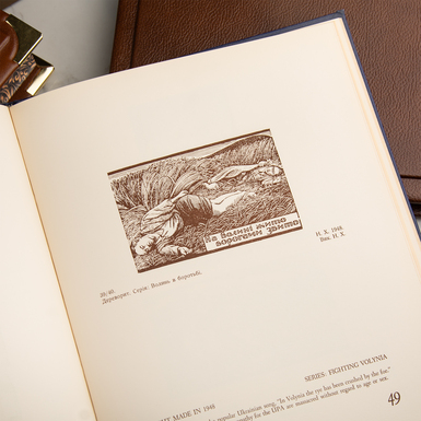 книга Графика в бункерах УПА с картинками фото 1