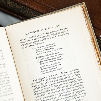 Английский текст книги фото