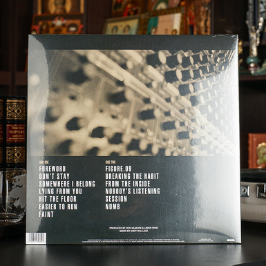 платівка фото