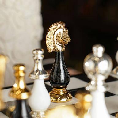 шахматная фигура конь фото 1