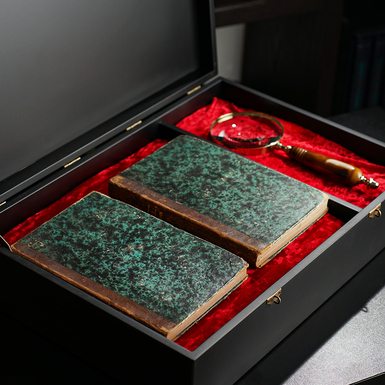 раритетні книги на оксамитовій подушці в кейсі фото 2