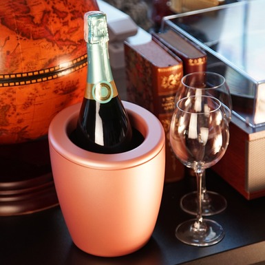 охолоджувач для вина купити фото