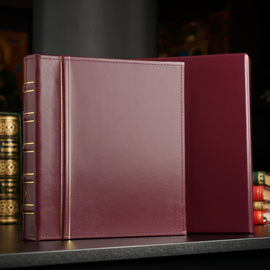 папка для коллекции монет фото 