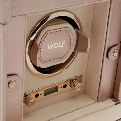 wow відео Скринька для автопідзаводу годинника та зберігання прикрас "Dorian" від Wolf