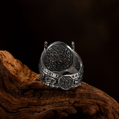men's ring photo