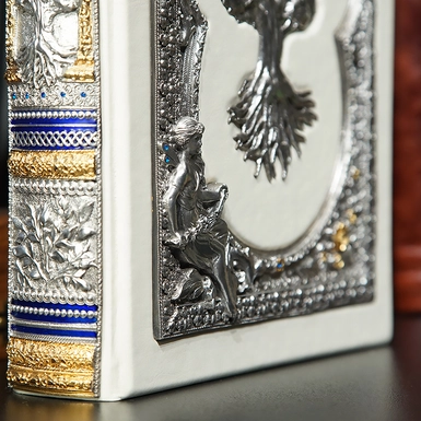 wow video "Семейная книга" в кожаном переплете