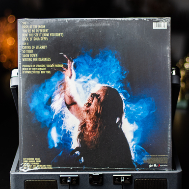 vinyl record photo