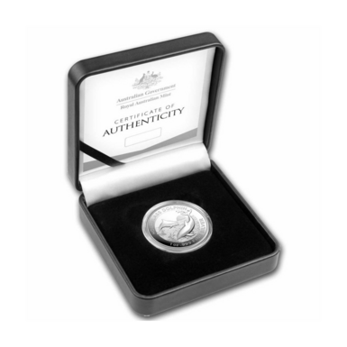 Кейс для монеты фото