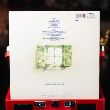 купить виниловую пластинку фото