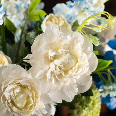 flowers photo
