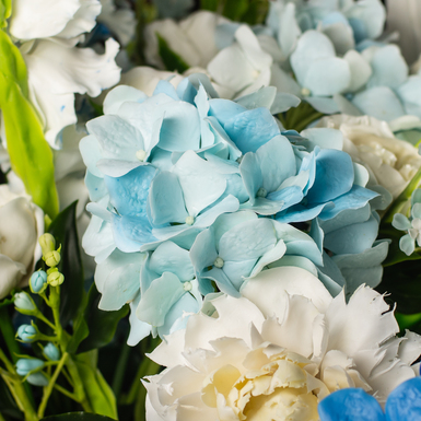 flora photo