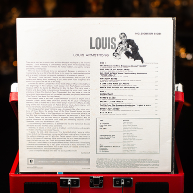 пластинка фото