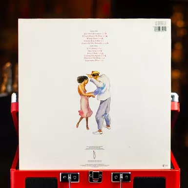 vinyl as a gift photo
