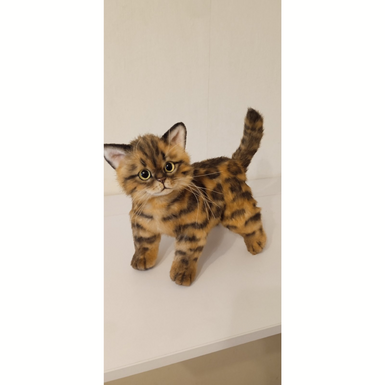 "Бенгальське кошеня" ручної роботи фото