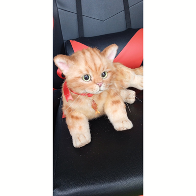 "Рыжий котенок" ручной работы фото