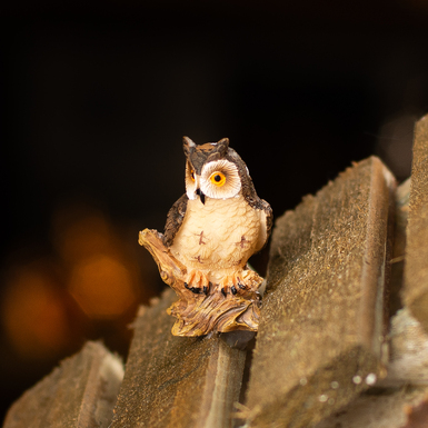 мініатюрна сова на даху будиночка фото 1