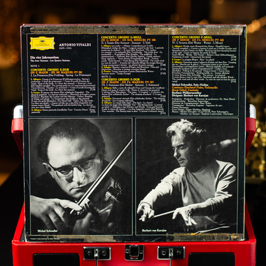 Купить виниловую пластинку