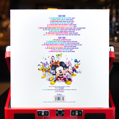 vinyl as a gift photo
