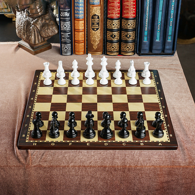 chess pieces photo 1