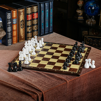 Knight and pawn photo