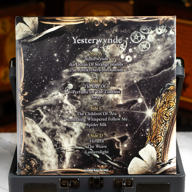 пластинка фото