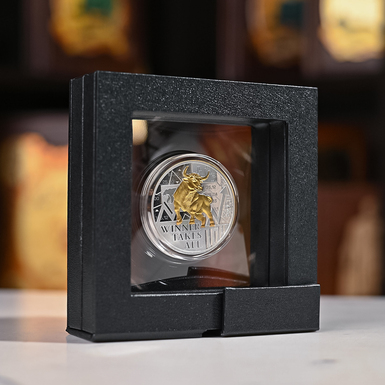 серебряная монета в прозрачной упаковке фото 1