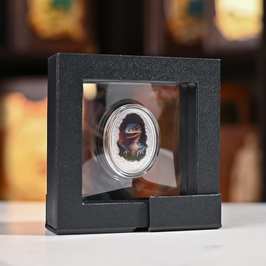 монета в прозрачной упаковке фото 1