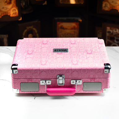 програвач у вигляді валізки фото 1