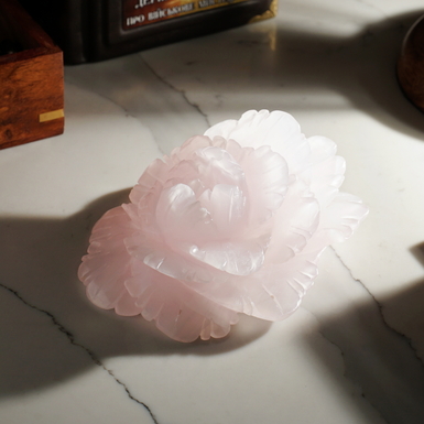 Подарок фото