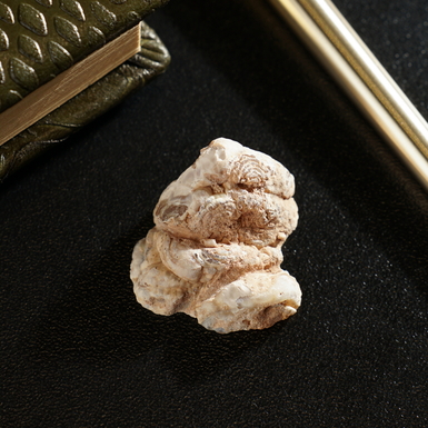 подарок фото