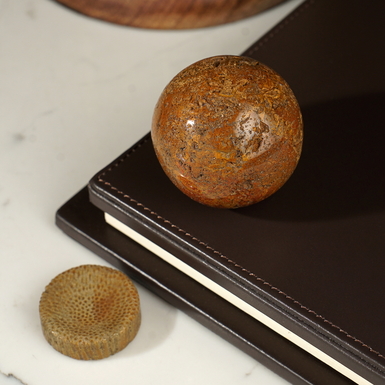 Подарок коллекционеру фото