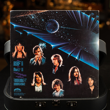 коллекционная виниловая пластинка фото